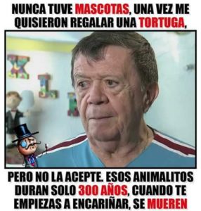 chabelo