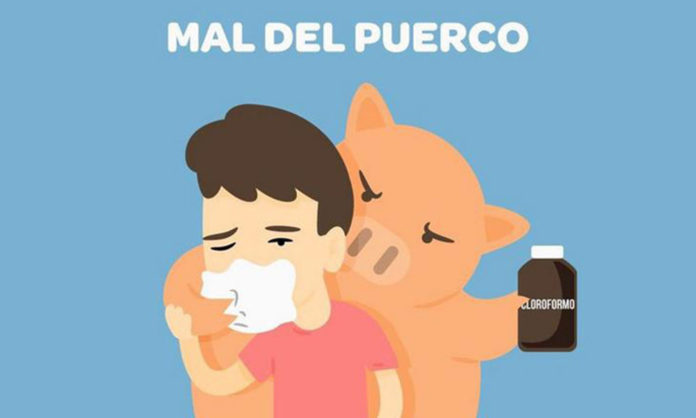 Publikoqu Es El Mal Del Puerco Y Por Qu Nos Pasa Despu S De Comer Publiko